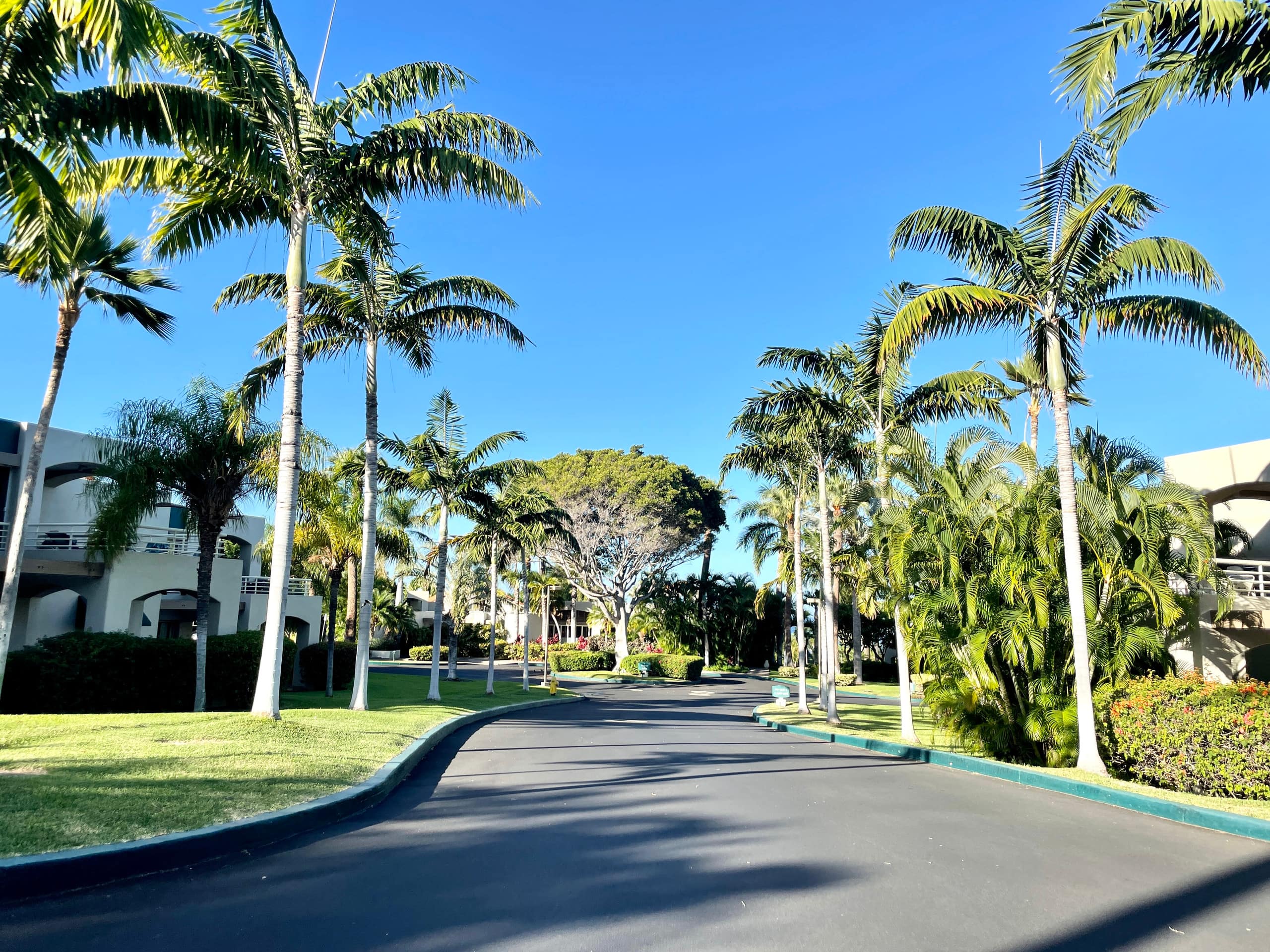 Condo in Wailea · ★4.99 · 2 bedrooms · 3 beds · 2 baths - Photo 82