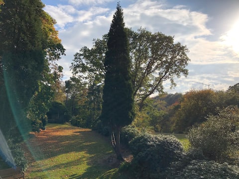 Top Airbnb: Light-flooded apartment overlooking the countryside in Blankenese
