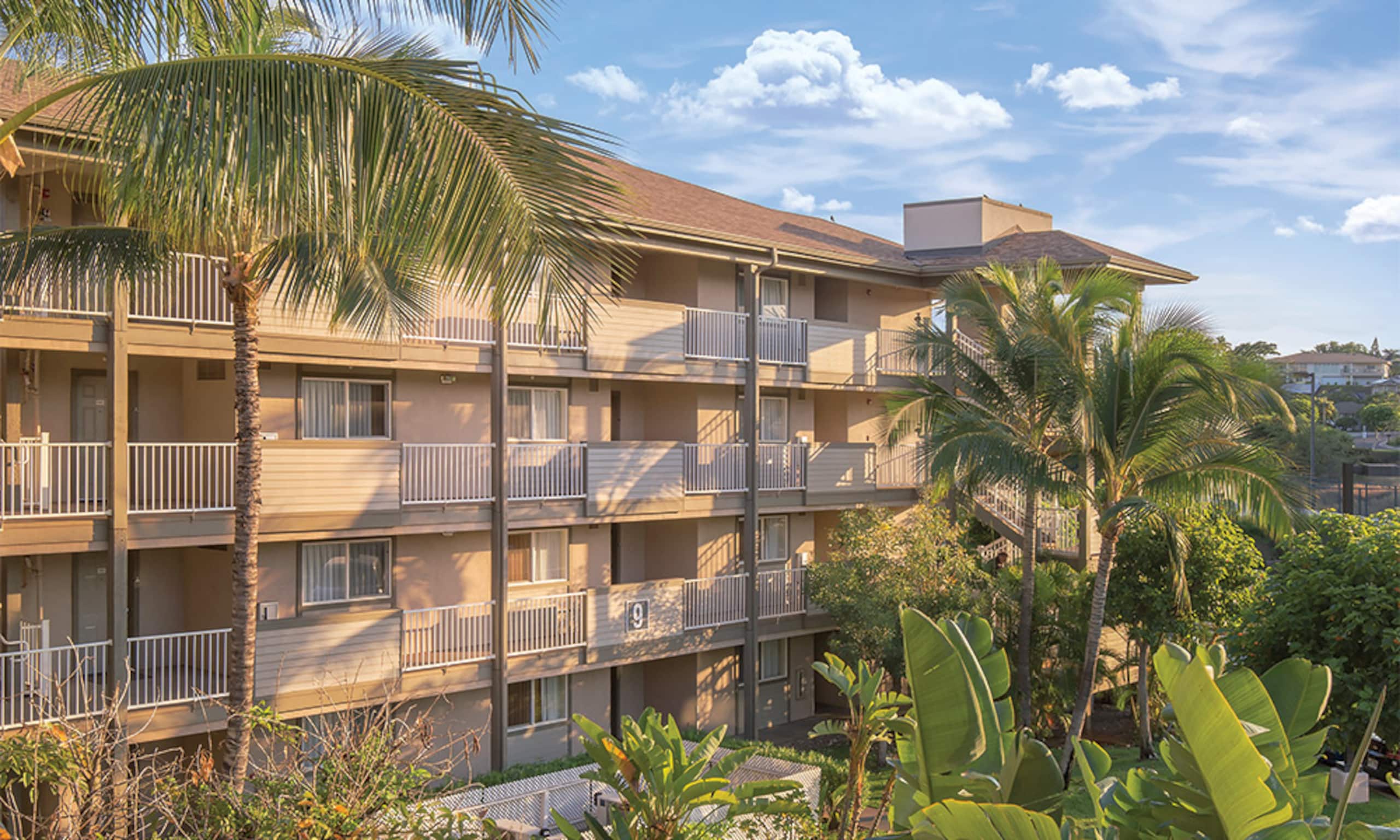 Lovely Studio Suite Steps Away from the Beach! - Photo 9