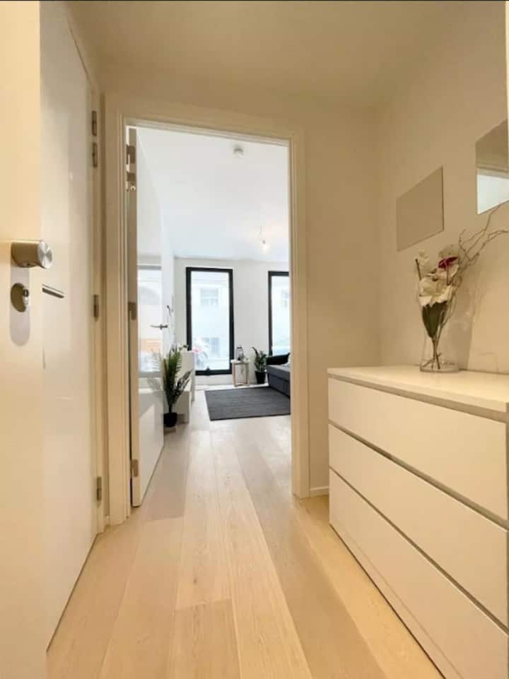 Beautiful bright and renovated studio Apartments for Rent in Woluwe