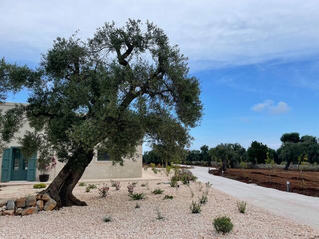 Nido Maremonte gallery image 5