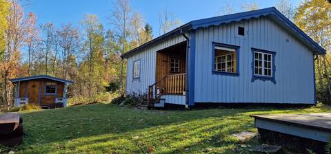 Unique Blue Lake House