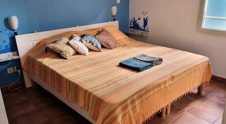 Suite N°2 : 1 cama de matrimonio o 2 camas individuales