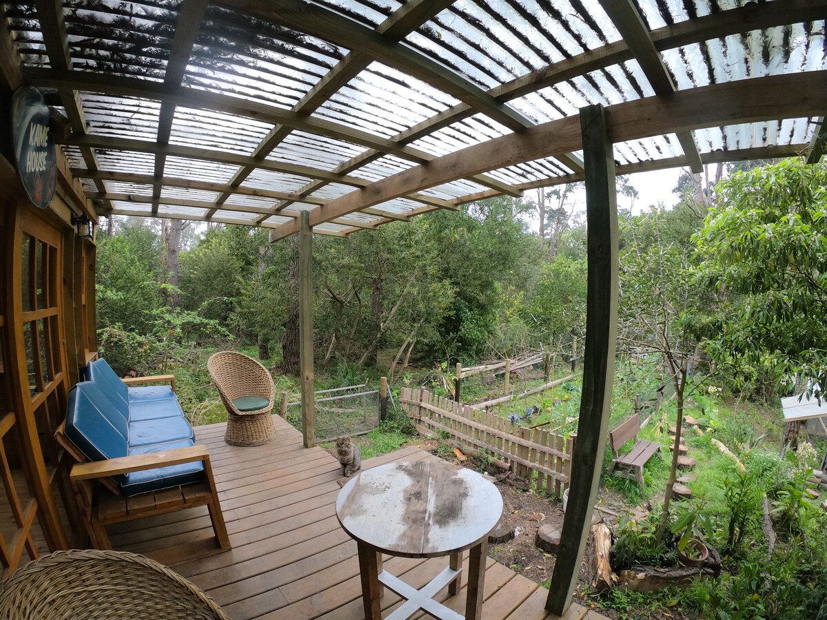 Top Airbnb: The ideal place to disconnect à Santa Isabel De La Pedrera