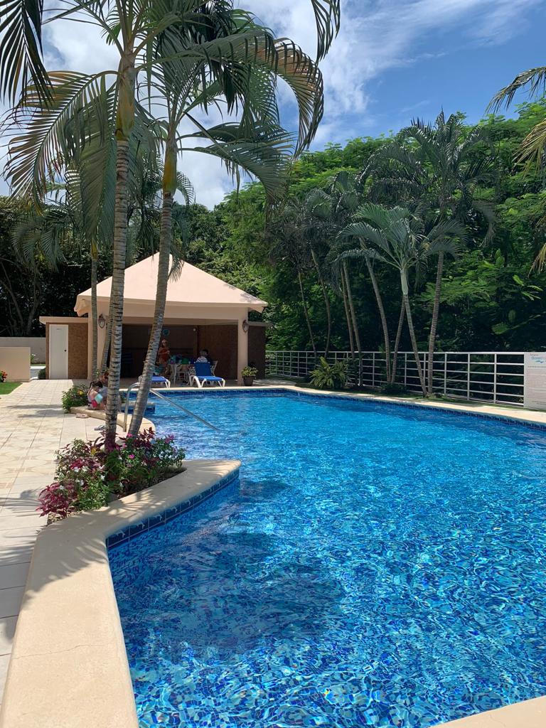 A swimming pool is surrounded by palm trees and flowering plants. A gazebo and lounge chairs are situated nearby. The clear blue water sparkles under the sunlight, and lush greenery is visible in the background, creating a serene outdoor setting.