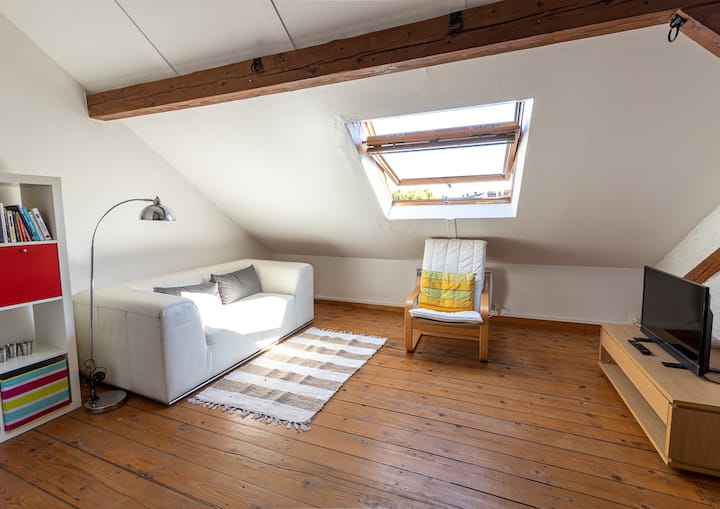 Appartement Meublé «&nbsp;Le P’tit Refuge&nbsp;» - Yutz