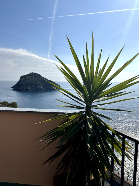 Island House in Bergeggi