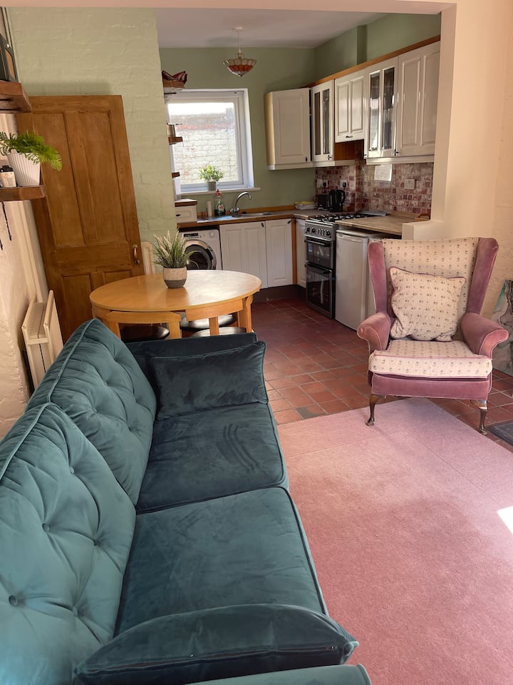 Lovely Home Overlooking Park. Close To The City. - Belfast