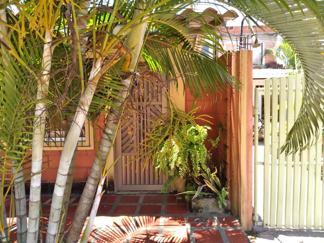 A garden pathway is framed by lush green palm leaves, leading to a gated entrance. The rustic wooden door is complemented by warm orange walls and a mix of foliage, including ferns, adding to the inviting ambience of the space.