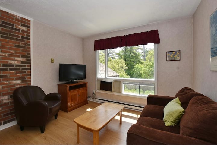1(b) Bedroom Apt In 3 Unit Bldg Right On The Beach - Wasaga Beach