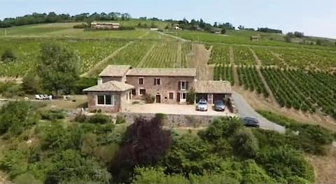 House among the vines