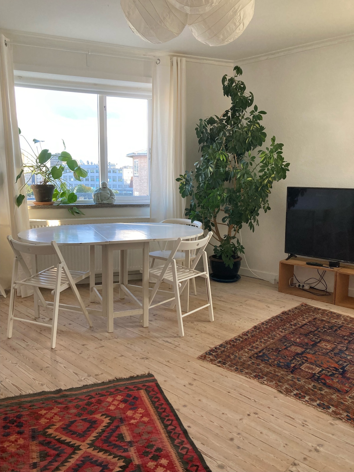 A dining area is illuminated by natural light from a large window. A round table with two white chairs is centered on a light wooden floor, complemented by colorful rugs. A tall green plant adds greenery to the space, while a television is mounted on a simple wooden stand.