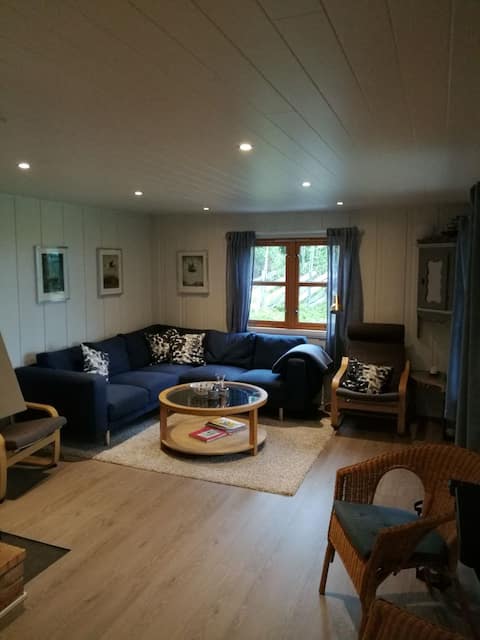 Top Airbnb: Cabin 50 m to Sjusjøen Ski Stadium/Birkebeiner Ski Trail in Ringsaker