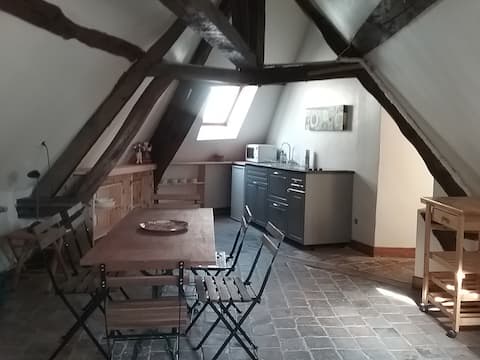 3-room apartment in the city center in house