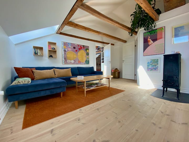 Luxury Penthouse With Big Balcony - Århus
