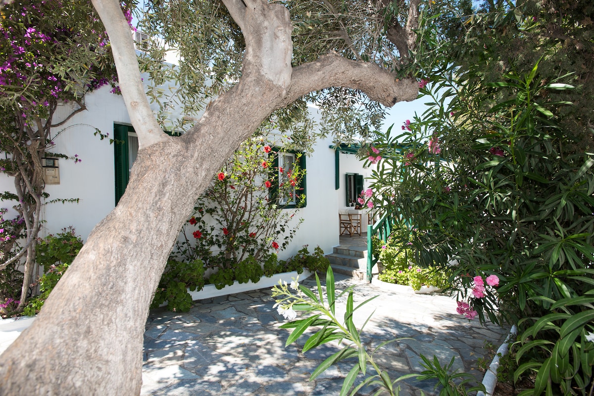 The entrance of the house features a cobblestone pathway bordered by vibrant greenery, including flowering plants and olive trees. A set of stone steps leads up to an inviting entrance framed by bright window shutters, contributing to the tranquil ambiance of the surroundings.