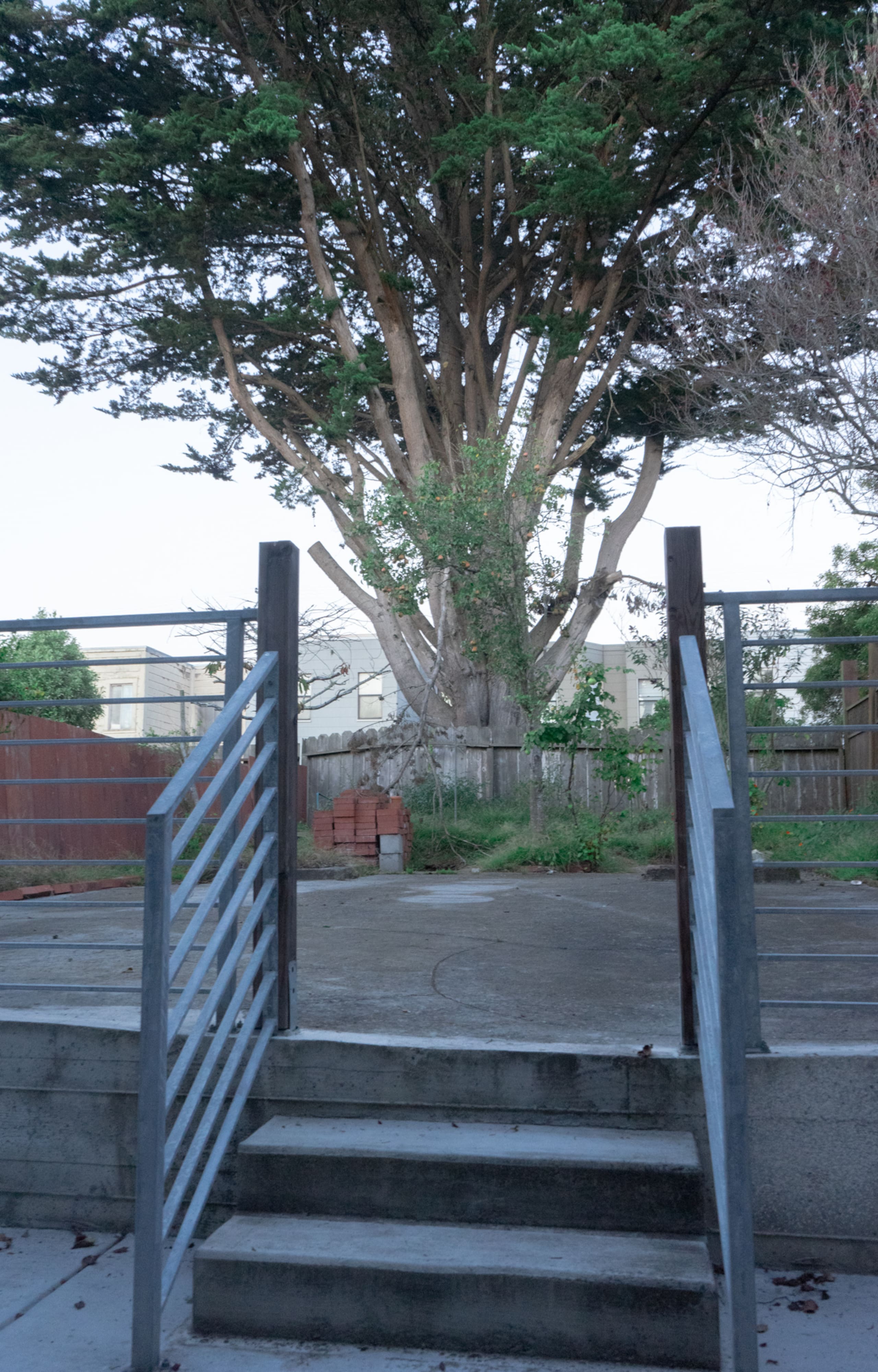 Cozy Studio near UCSF/SFSU/Golden Gate Park - Image 12