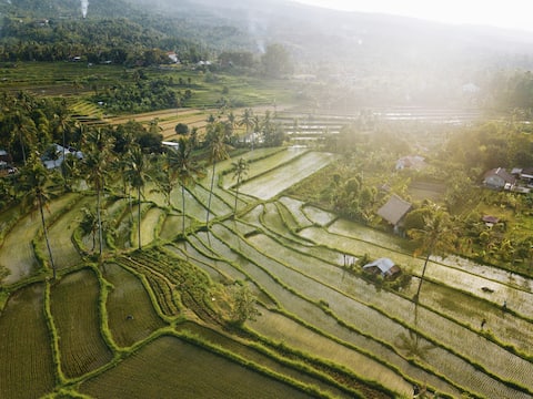 2 Bedroom Villa with Private Pool, Rice field View