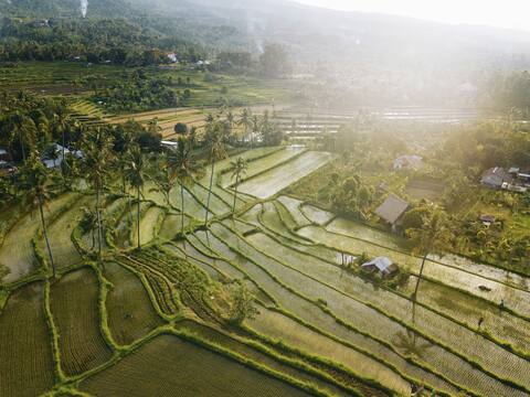 2 Bedroom Villa with Private Pool, Rice field View
