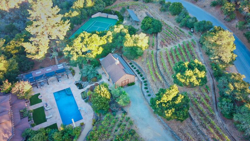 3 BR Home on Vineyard nr Palo Alto & Stanford gallery image 4