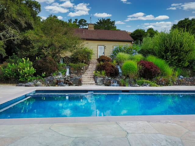 3 BR Home on Vineyard nr Palo Alto & Stanford gallery image 5