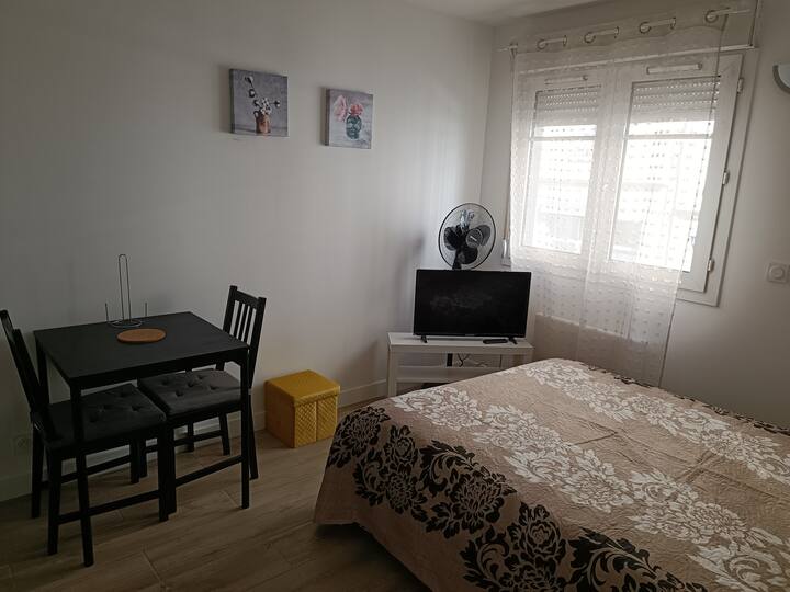 Le Petit Bonald studio Universities Lyon 2 and 3 Apartments for Rent