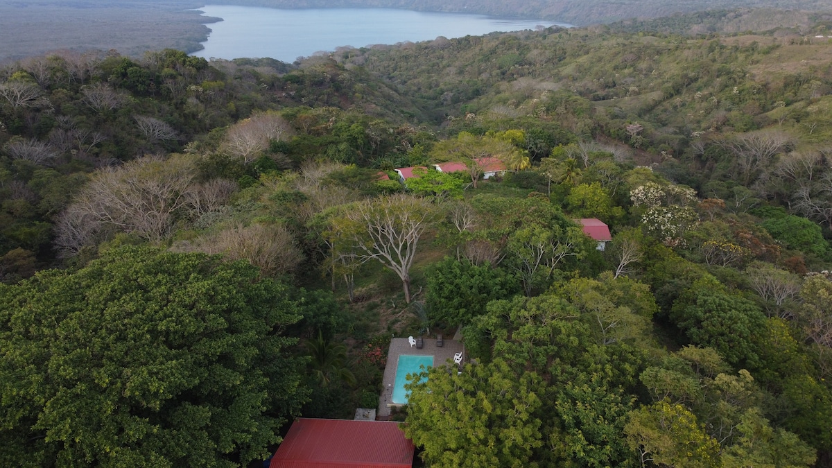An aerial view captures a serene landscape featuring lush greenery and a tranquil body of water in the distance. The bungalow rooftops are visible among the trees, with a shared pool nestled within the natural surroundings providing a peaceful retreat.