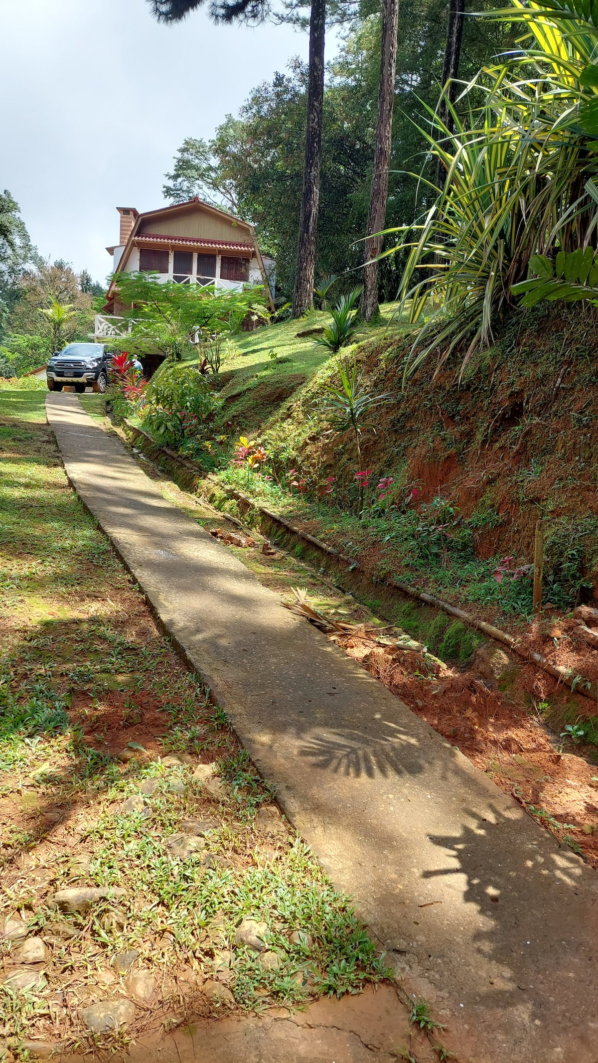 A gentle pathway is visible leading up to a charming house nestled among lush greenery. The driveway, lined with vibrant plants and flowers, ascends the hillside, providing a serene approach to the welcoming home in the background.