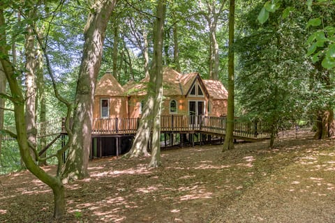 Whimsical Treehouse in CS Lewis' footsteps