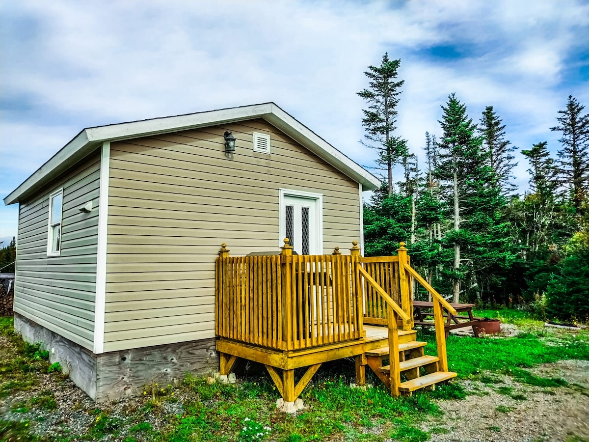 A quaint wooden deck with sturdy railings is situated at the entrance of a simple single-story cabin. Tall trees surround the structure, enhancing the serene outdoor setting. A set of steps leads to the porch, inviting guests to enjoy the natural surroundings.