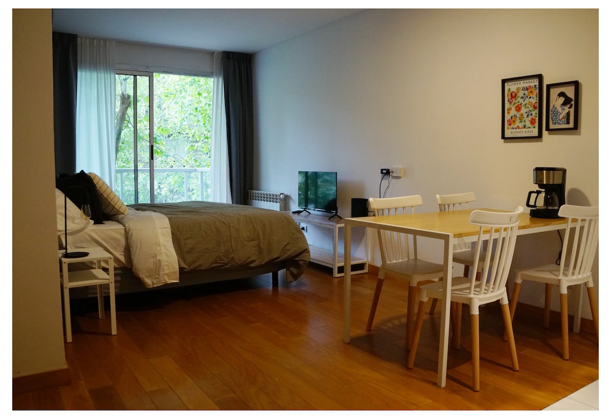 Top Airbnb: Studio in Recoleta in Comuna 2