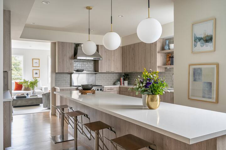 Pacific Heights View Penthouse with Terrace gallery image 2