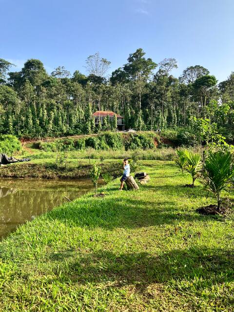 Green Turfs Farmstay