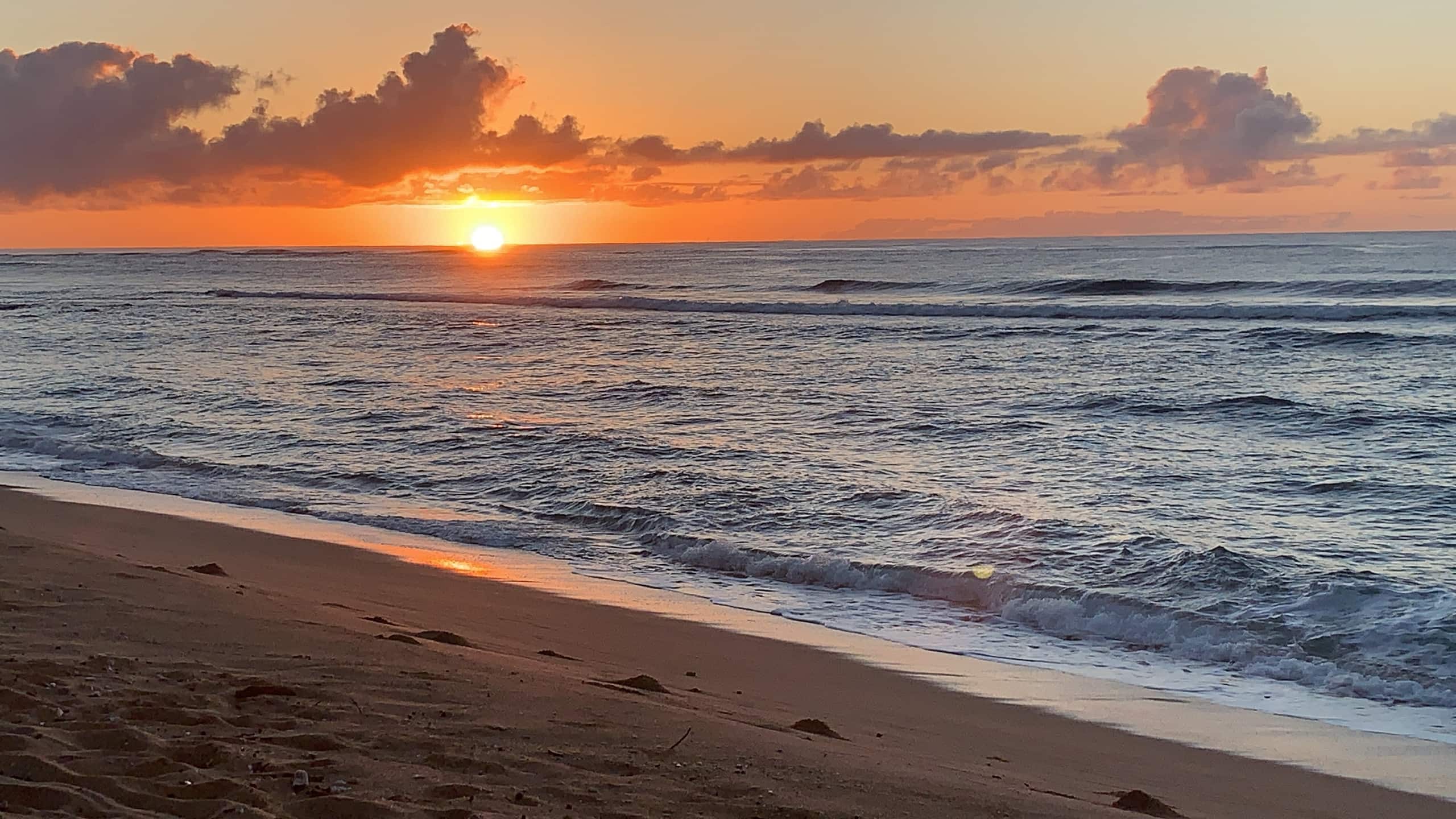Coconut Coast Beachfront-LaeNani - Photo 22