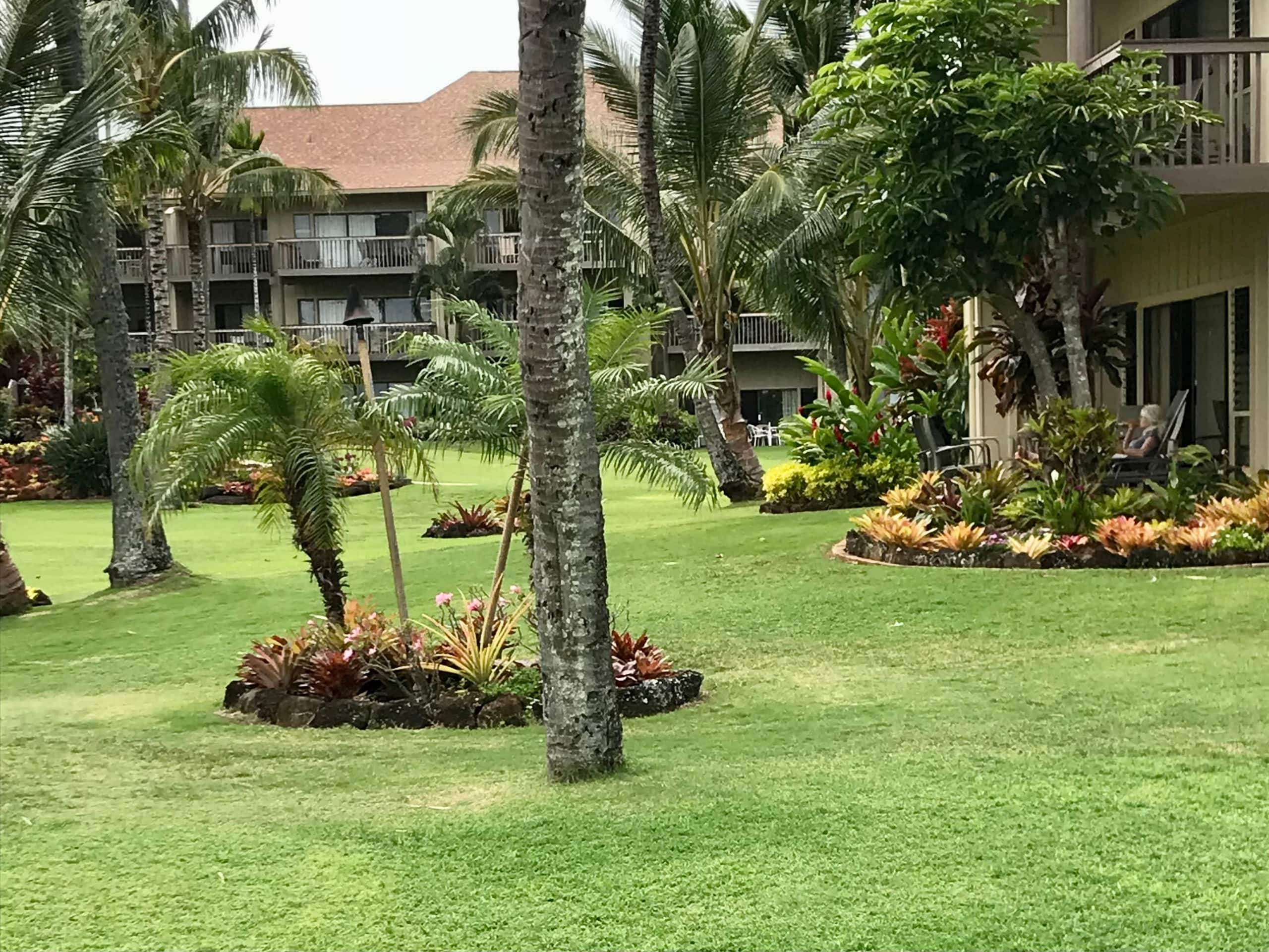 Coconut Coast Beachfront-LaeNani - Photo 16
