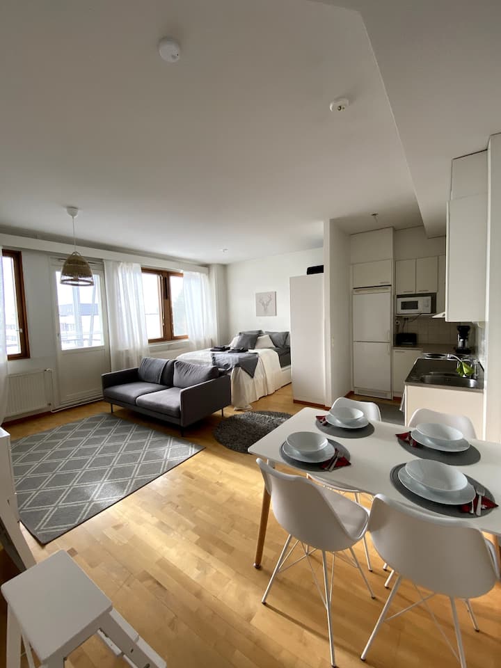 Wellstocked studio in the heart of Rovaniemi Apartments for Rent in