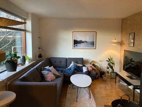 Family house near Farum lake, 20 min to Copenhagen