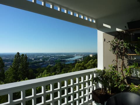 Beautiful apartment with magical views to Lyon
