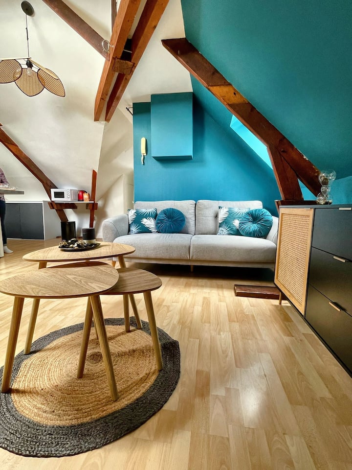 Le Cocon Bleu. T3 Hypercentre Angers - Angers