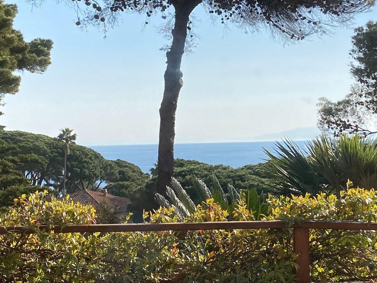 The view from the terrace captures the tranquil blue sea, framed by lush green trees. Various plants create a colorful border, enhancing the coastal scenery. The horizon features distant land, suggesting nearby islands.