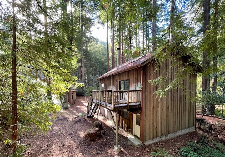 Big Basin Cabins | Cabins and More | Airbnb