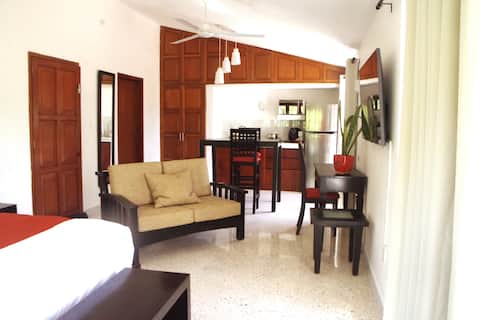 Top Airbnb: Spacious King Bed Apt 481 sq ft / Ideal Long Stays in Supermanzana 2 A