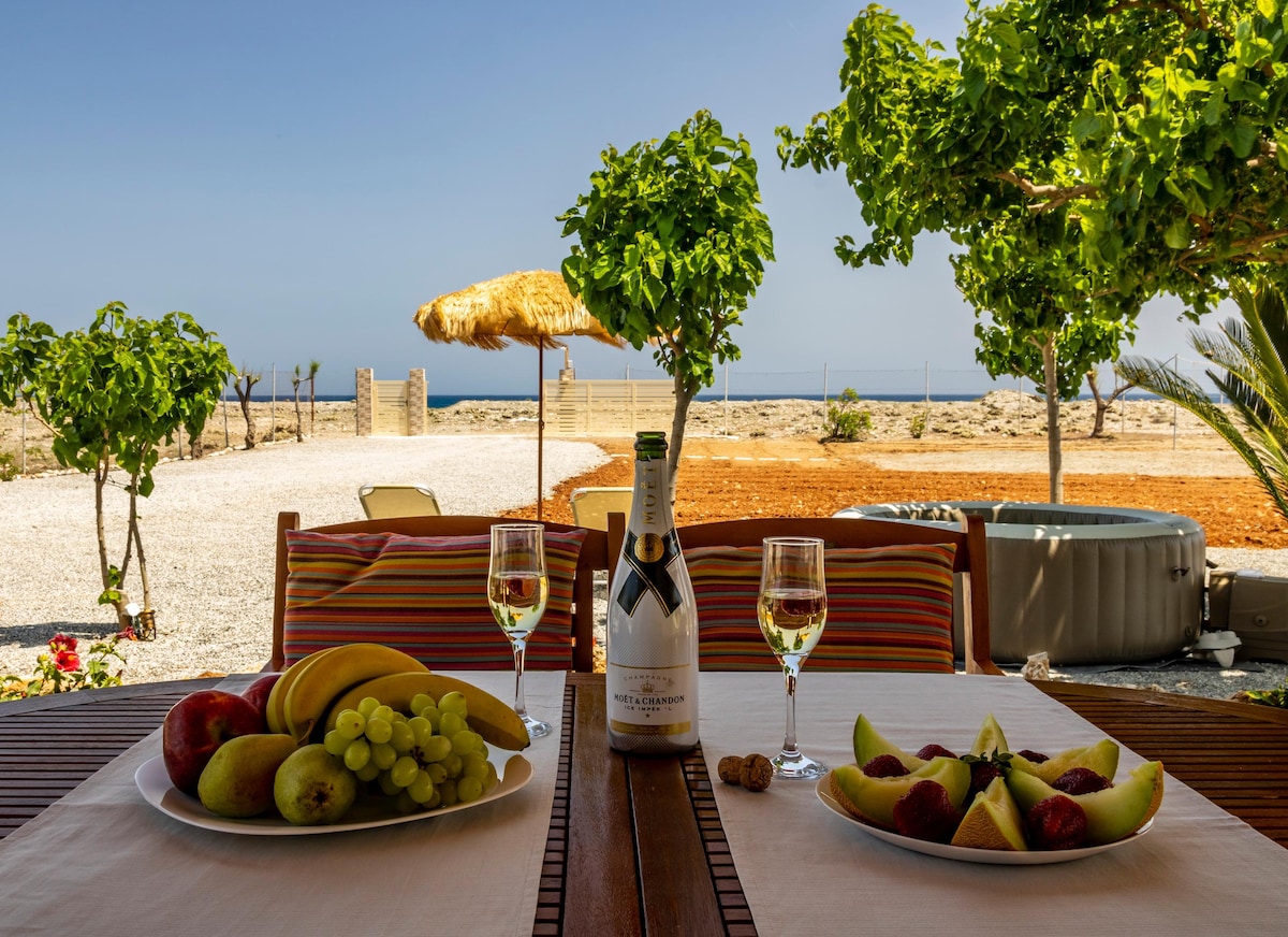 An outdoor dining area is set with a table displaying an assortment of fresh fruits, including bananas, grapes, apples, and sliced melons. Two glasses of sparkling wine are positioned on the table. Beyond, a sun umbrella provides shade, with a glimpse of the sea in the background.