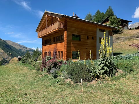 Top Airbnb: Beautiful apartment in the heart of the Alps. in Evolène