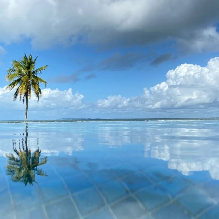An infinity pool reflects the clear blue sky and fluffy clouds, creating a seamless horizon with the ocean beyond. A lone palm tree stands nearby, showcasing its slender trunk and vibrant green fronds, completing the serene coastal view.