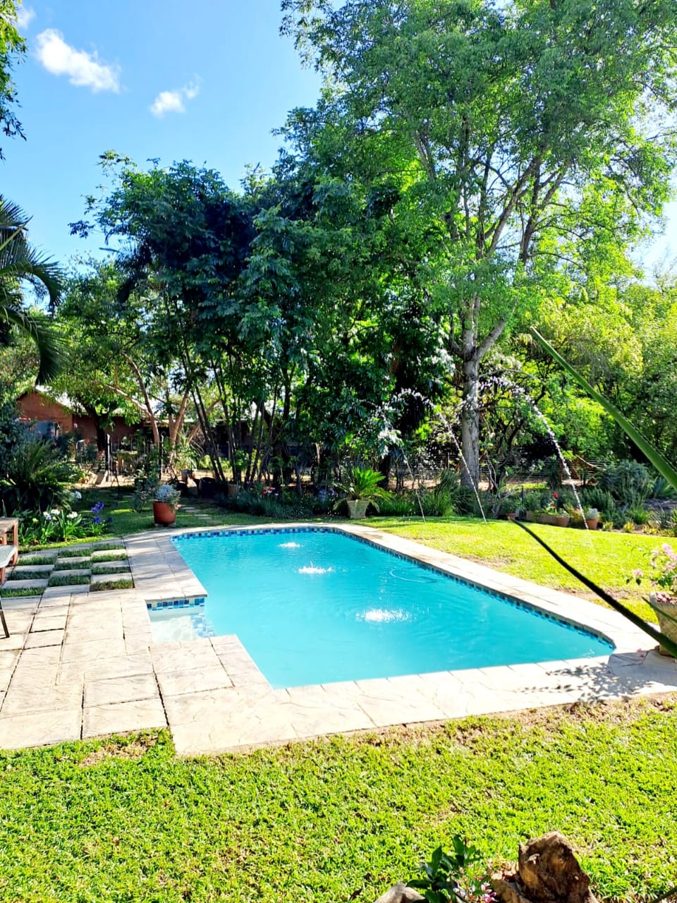 A serene outdoor area features a clear swimming pool surrounded by lush greenery. The pool is framed by a well-kept lawn and shaded by tall trees, creating a peaceful atmosphere. Stone tiles lead from the garden to the pool, enhancing the inviting setting.
