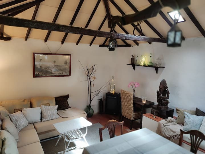 Historic Canarian House
«Villa De Mensa» - Icod de los Vinos