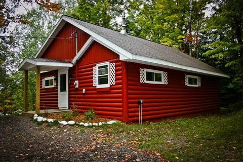Knotty Pine