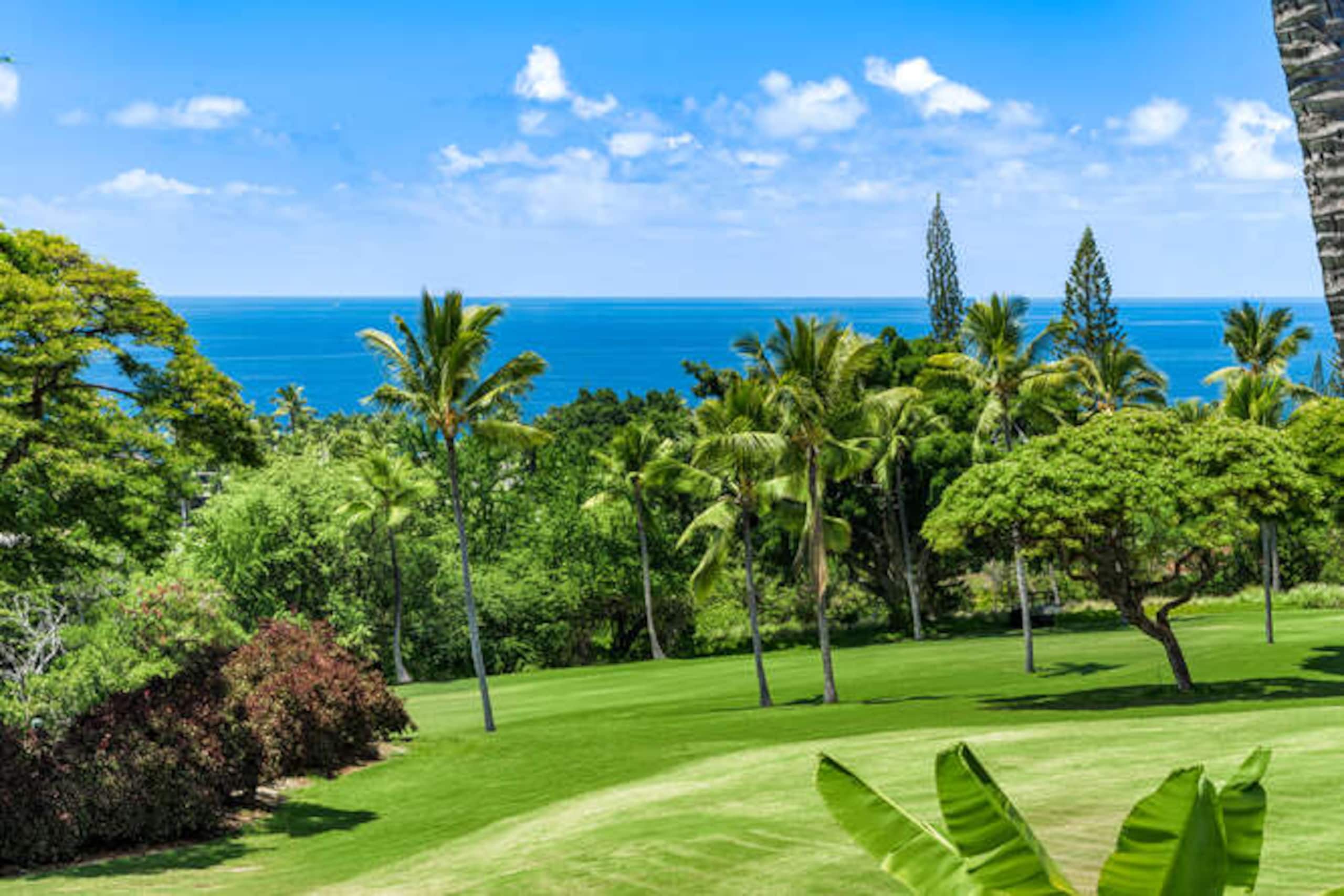 Condo in Kailua-Kona · ★4.99 · 3 bedrooms · 5 beds · 2 baths - Image 27