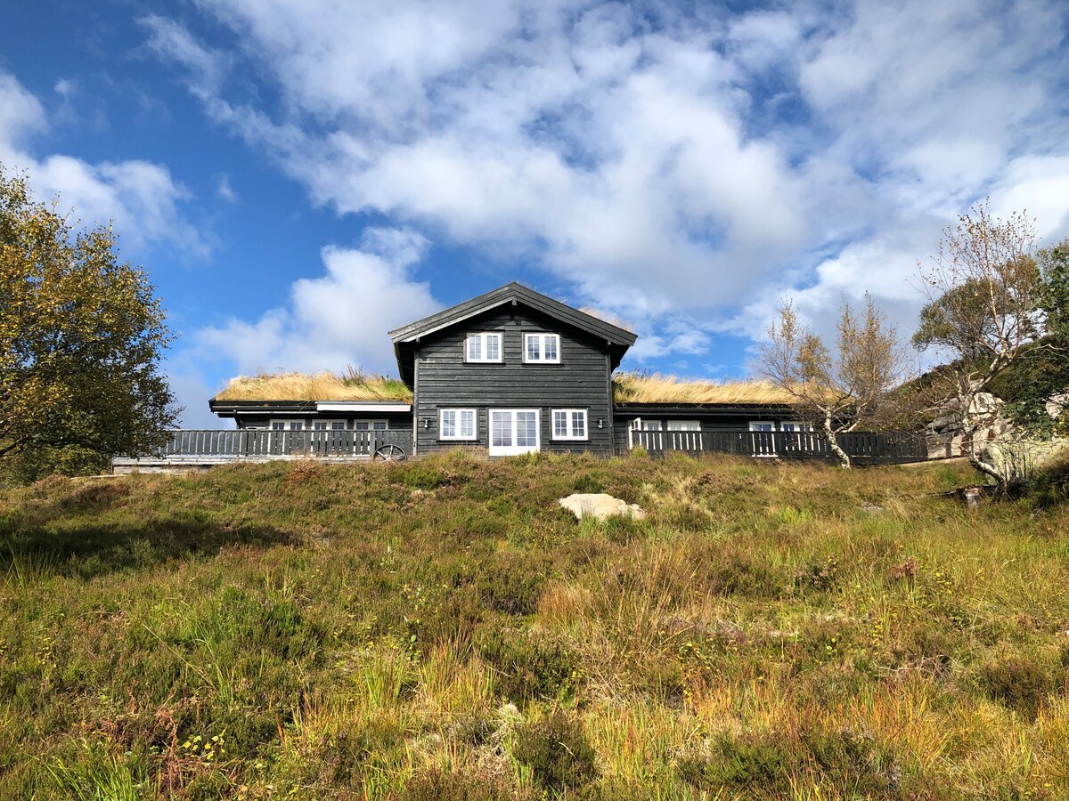 The exterior of a black wooden house is depicted, featuring a grass-covered roof and multiple windows. Surrounding greenery and an open sky with scattered clouds create a natural setting. An approachable pathway leads to the entrance, framed by grass and small shrubs.